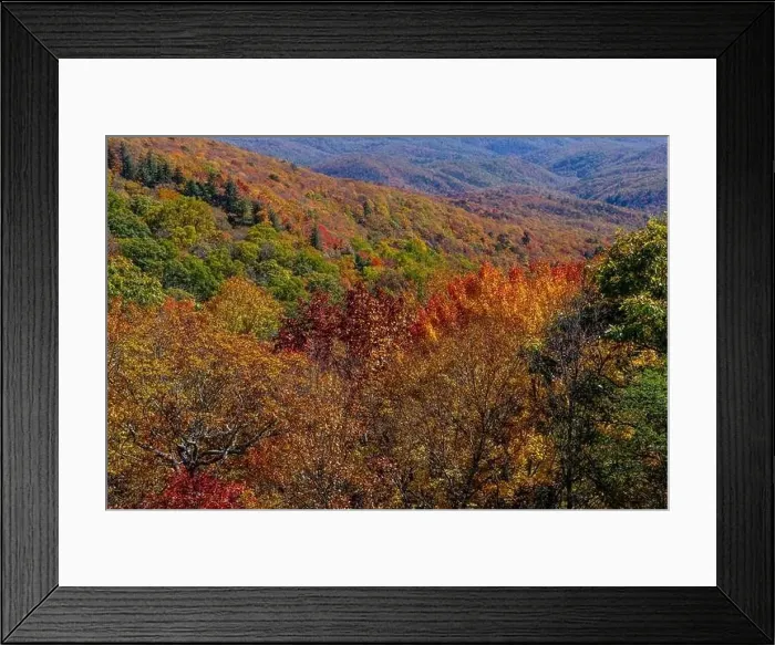 Framed Print : Aerial View Of The Changing Of The Leaves In The North Carolina Mountains
