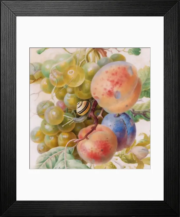Framed Print : Digital floral design on a textured background. Flowers and fruits with a vintage inspiration Framed Print : Digital floral design on a textured background. Flowers and fruits with a vintage inspiration