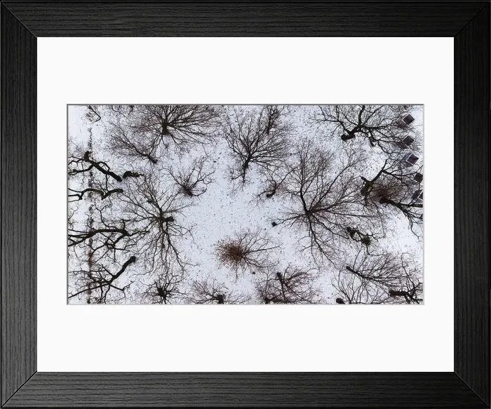 Framed Print : Aerial view of snow-clad lawns and leafless trees in Pozna Framed Print : Aerial view of snow-clad lawns and leafless trees in Pozna