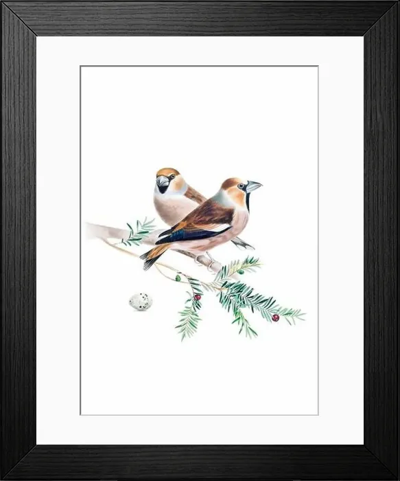 Framed Print : Bird art. Vintage-style bird illustration Framed Print : Bird art. Vintage-style bird illustration
