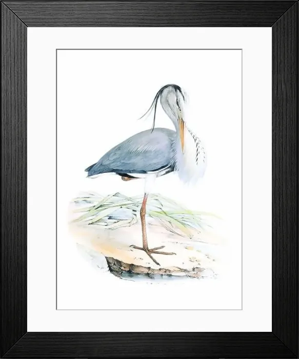 Framed Print : Bird art. Vintage-style Heron illustration Framed Print : Bird art. Vintage-style Heron illustration