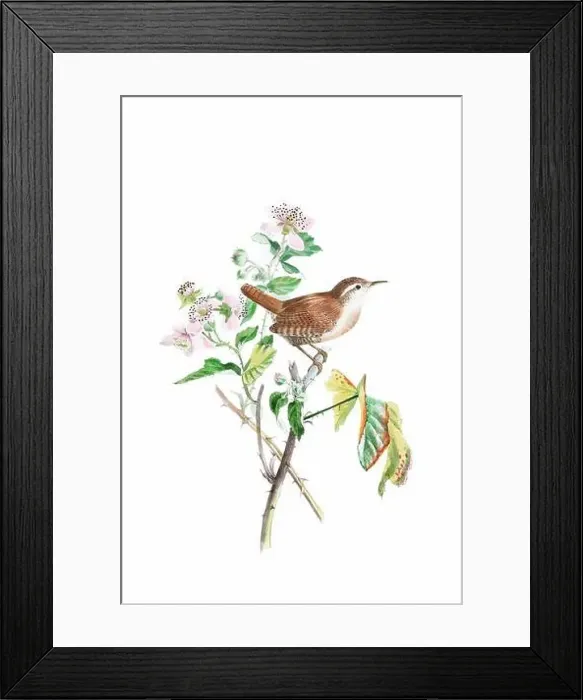 Framed Print : Bird art. Vintage-style bird illustration Framed Print : Bird art. Vintage-style bird illustration