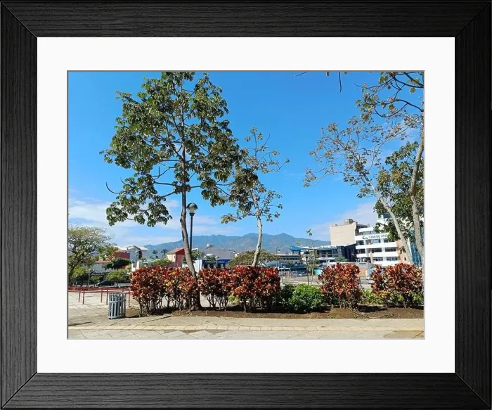 Framed Print : March 15 2023 - San Jose, Costa Rica in Central America: View of the outside of Plaza de la Democracia Framed Print : March 15 2023 - San Jose, Costa Rica in Central America: View of the outside of Plaza de la Democracia