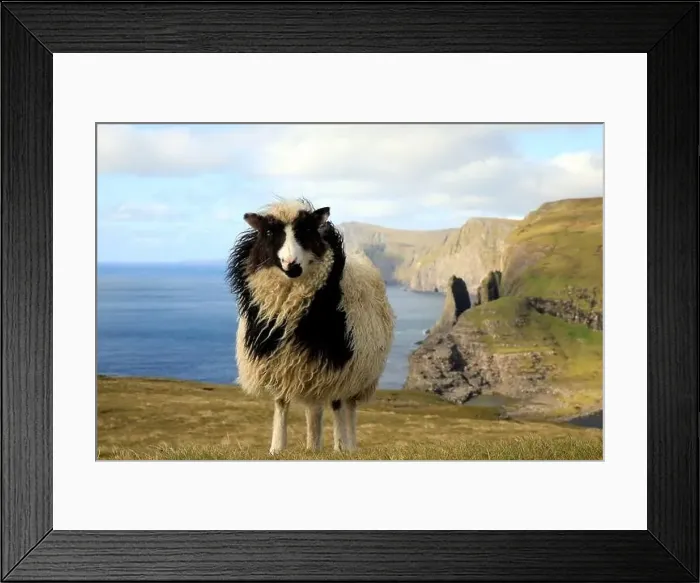 Framed Print : Beautiful scenery of the Faroe islands, Bosdalafossur Framed Print : Beautiful scenery of the Faroe islands, Bosdalafossur