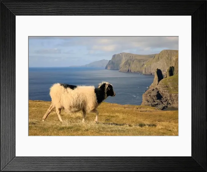 Framed Print : Beautiful scenery of the Faroe islands, Bosdalafossur Framed Print : Beautiful scenery of the Faroe islands, Bosdalafossur