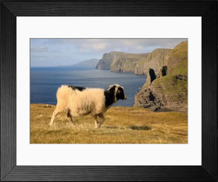 Framed Print : Beautiful scenery of the Faroe islands, Bosdalafossur Framed Print : Beautiful scenery of the Faroe islands, Bosdalafossur