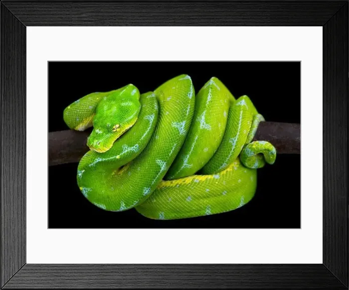 Framed Print : ©Matthijs Kuijpers Framed Print : ©Matthijs Kuijpers