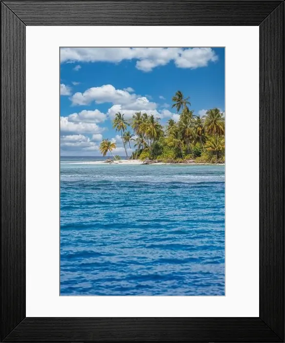 Framed Print : Beach nature concept. Palm beach in tropical idyllic paradise island Framed Print : Beach nature concept. Palm beach in tropical idyllic paradise island