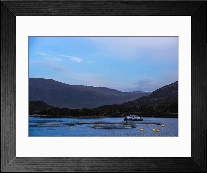 Framed Print : Salmon farm in Norway, Olden, Innvikfjorden, Norway, Europe Framed Print : Salmon farm in Norway, Olden, Innvikfjorden, Norway, Europe