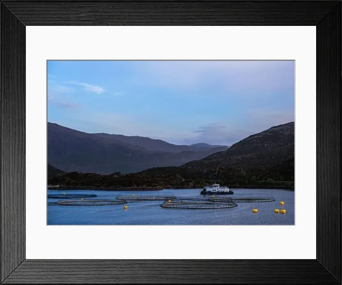 Framed Print : Salmon farm in Norway, Olden, Innvikfjorden, Norway, Europe Framed Print : Salmon farm in Norway, Olden, Innvikfjorden, Norway, Europe