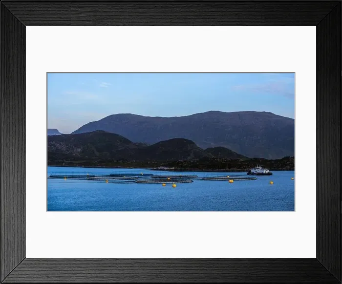 Framed Print : Salmon farm in Norway, Olden, Innvikfjorden, Norway, Europe Framed Print : Salmon farm in Norway, Olden, Innvikfjorden, Norway, Europe