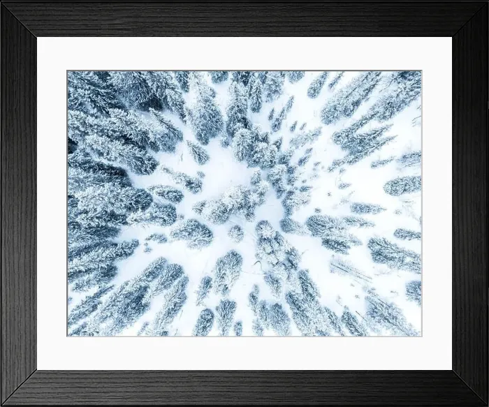 Framed Print : An aerial perspective captures a dense forest in Sweden Framed Print : An aerial perspective captures a dense forest in Sweden