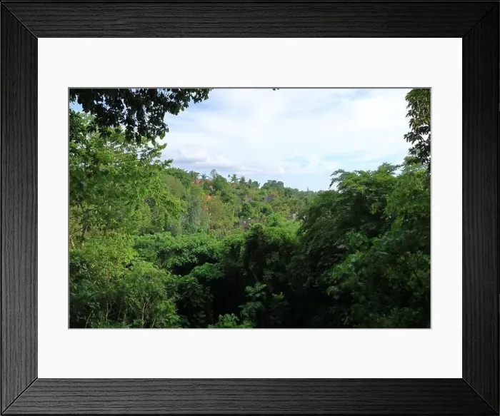 Framed Print : living houses in green surrounding at Campuhan Ridge Walk near Ubud, Bali in Indonesia Framed Print : living houses in green surrounding at Campuhan Ridge Walk near Ubud, Bali in Indonesia