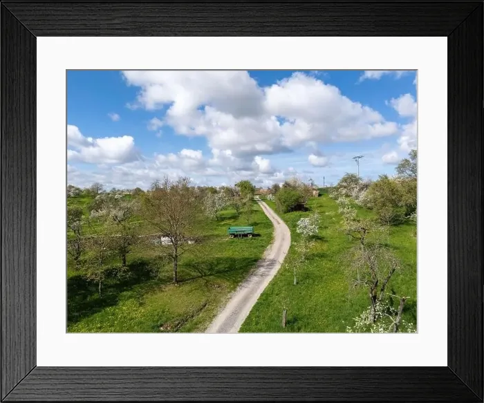 Framed Print : Blooming fruit trees and fields shot with drone in spring Framed Print : Blooming fruit trees and fields shot with drone in spring