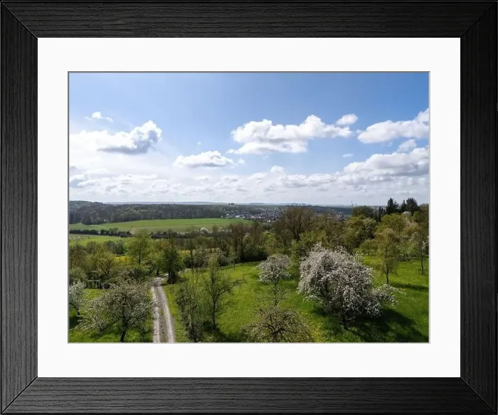 Framed Print : Blooming fruit trees and fields shot with drone in spring Framed Print : Blooming fruit trees and fields shot with drone in spring
