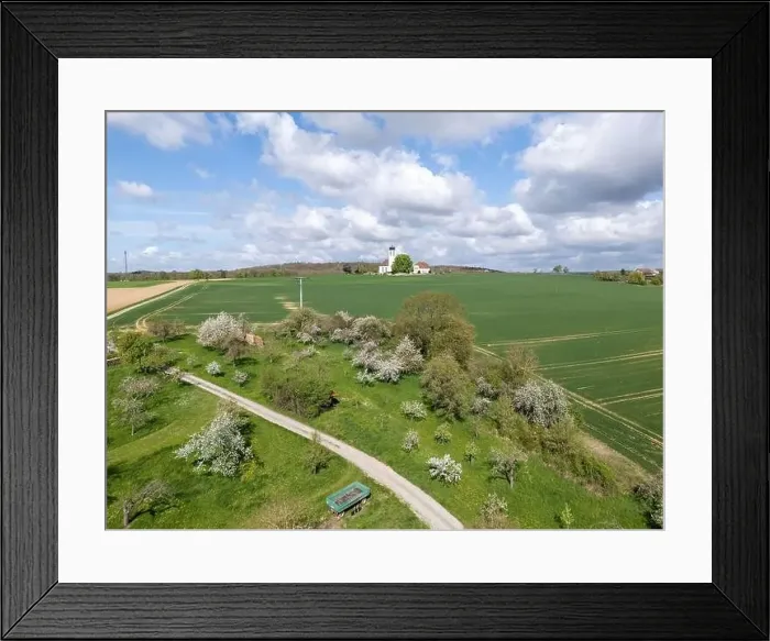 Framed Print : Blooming fruit trees and fields shot with drone in spring Framed Print : Blooming fruit trees and fields shot with drone in spring