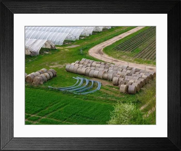 Framed Print : Greenhouses, straw bales and iron frames in agriculture near Weiterstadt Framed Print : Greenhouses, straw bales and iron frames in agriculture near Weiterstadt
