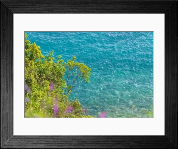 Framed Print : A tree branch hangs over the azure water Framed Print : A tree branch hangs over the azure water
