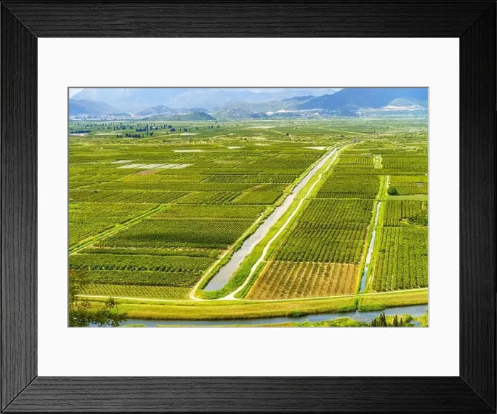 Framed Print : A birds eye view of a meandering river flowing through a verdant field with a variety of plant life Framed Print : A birds eye view of a meandering river flowing through a verdant field with a variety of plant life