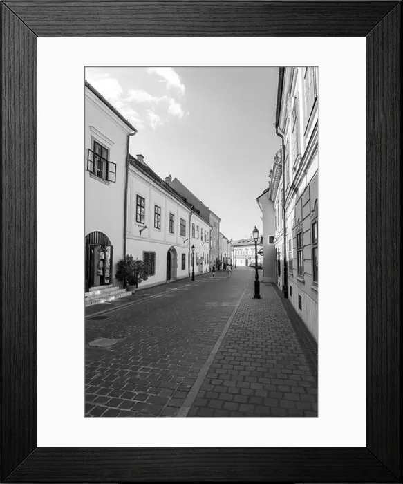 Framed Print : A blackandwhite photo of a cobblestone street with white buildings under a cloudy sky Framed Print : A blackandwhite photo of a cobblestone street with white buildings under a cloudy sky