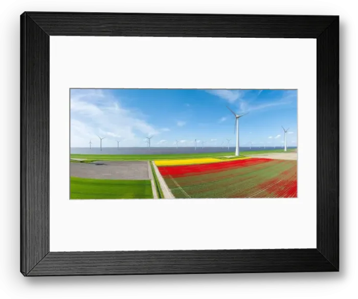 Framed Print : aerial view of a beautiful landscape filled with colorful tulips and wind turbines Framed Print : aerial view of a beautiful landscape filled with colorful tulips and wind turbines