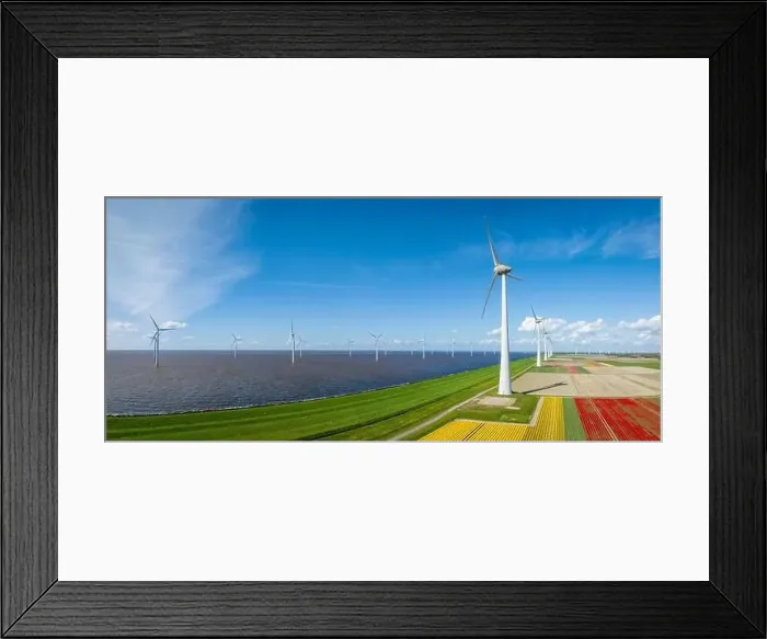 Framed Print : aerial view of a beautiful landscape filled with colorful tulips and wind turbines