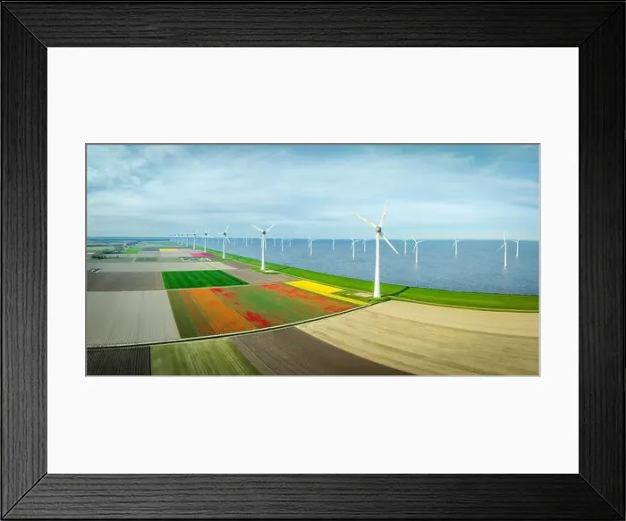 Framed Print : aerial view of a beautiful landscape filled with colorful tulips and wind turbines Framed Print : aerial view of a beautiful landscape filled with colorful tulips and wind turbines