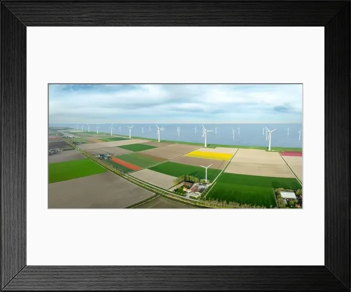 Framed Print : aerial view of a beautiful landscape filled with colorful tulips and wind turbines Framed Print : aerial view of a beautiful landscape filled with colorful tulips and wind turbines