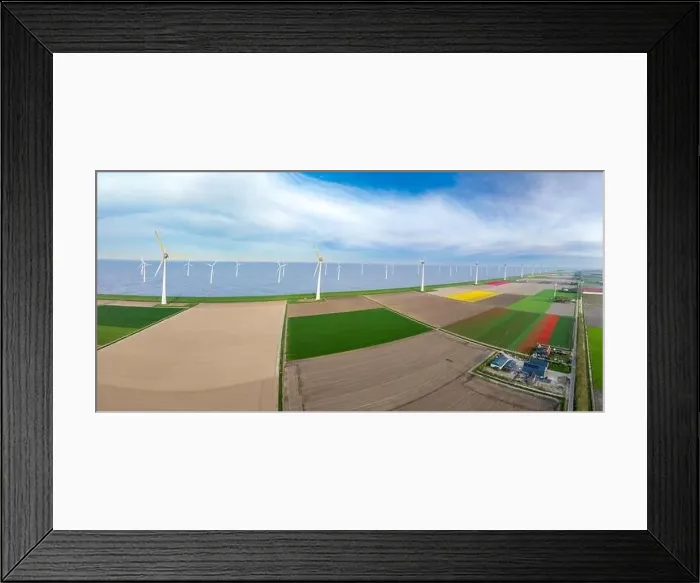 Framed Print : aerial view of a beautiful landscape filled with colorful tulips and wind turbines Framed Print : aerial view of a beautiful landscape filled with colorful tulips and wind turbines