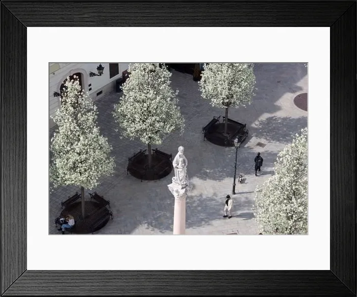 Framed Print : Old town of Bratislava, Slovakia on sunny spring day Framed Print : Old town of Bratislava, Slovakia on sunny spring day