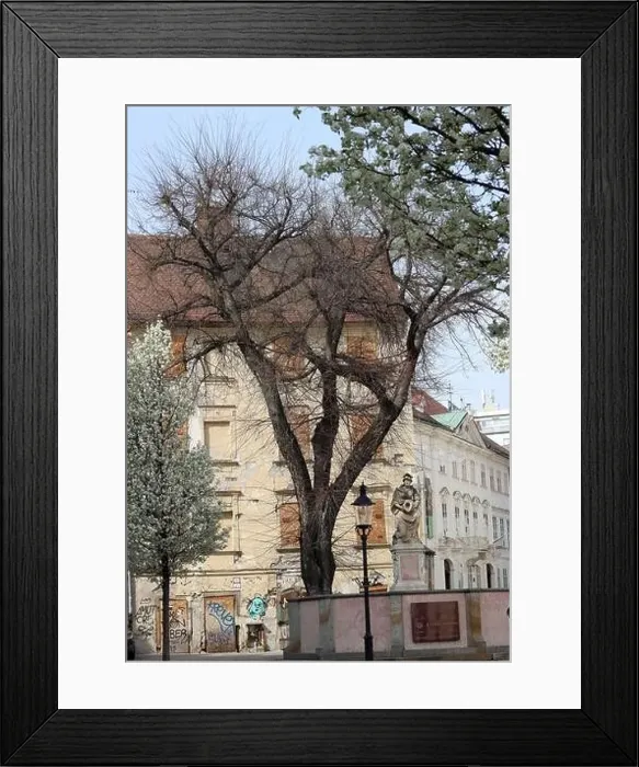 Framed Print : Old town of Bratislava, Slovakia on sunny spring day Framed Print : Old town of Bratislava, Slovakia on sunny spring day