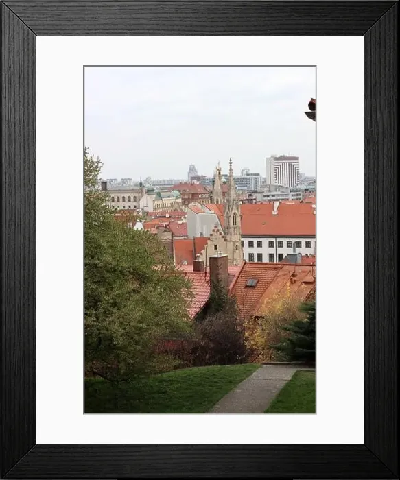 Framed Print : View of Bratislava from the Old Town. Red roofed houses from above. Spring in Europe Framed Print : View of Bratislava from the Old Town. Red roofed houses from above. Spring in Europe