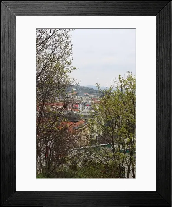Framed Print : View of the Old Town from the Castle Hill, Bratislava, Slovakia. Street view, old red roofed houses. Spring in Europe Framed Print : View of the Old Town from the Castle Hill, Bratislava, Slovakia. Street view, old red roofed houses. Spring in Europe