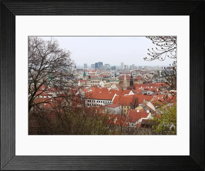 Framed Print : View of Bratislava from the Old Town. Red roofed houses from above. Spring in Europe Framed Print : View of Bratislava from the Old Town. Red roofed houses from above. Spring in Europe