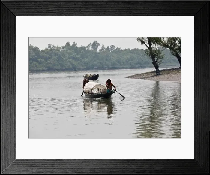 Framed Print : Khulna, Bangladesh - April 13, 2024: The Sundorbons is the largest mangrove forest in the world Framed Print : Khulna, Bangladesh - April 13, 2024: The Sundorbons is the largest mangrove forest in the world