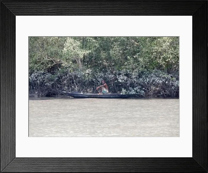 Framed Print : Khulna, Bangladesh - April 13, 2024: The Sundorbons is the largest mangrove forest in the world Framed Print : Khulna, Bangladesh - April 13, 2024: The Sundorbons is the largest mangrove forest in the world