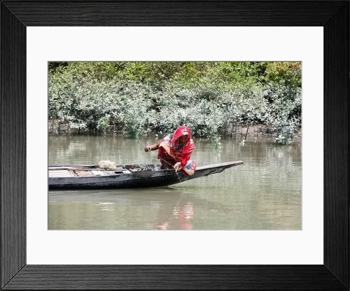 Framed Print : Khulna, Bangladesh - April 13, 2024: The Sundorbons is the largest mangrove forest in the world Framed Print : Khulna, Bangladesh - April 13, 2024: The Sundorbons is the largest mangrove forest in the world