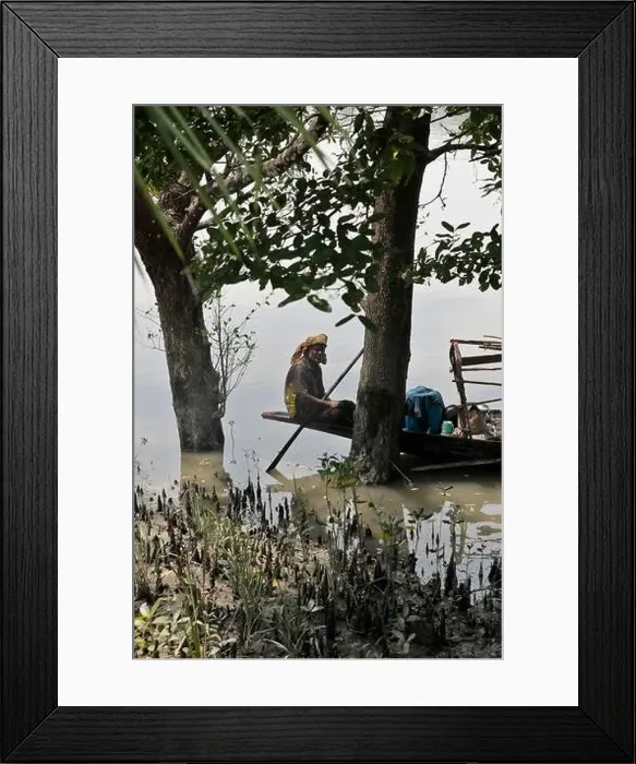 Framed Print : Khulna, Bangladesh - April 13, 2024: The Sundorbons is the largest mangrove forest in the world Framed Print : Khulna, Bangladesh - April 13, 2024: The Sundorbons is the largest mangrove forest in the world