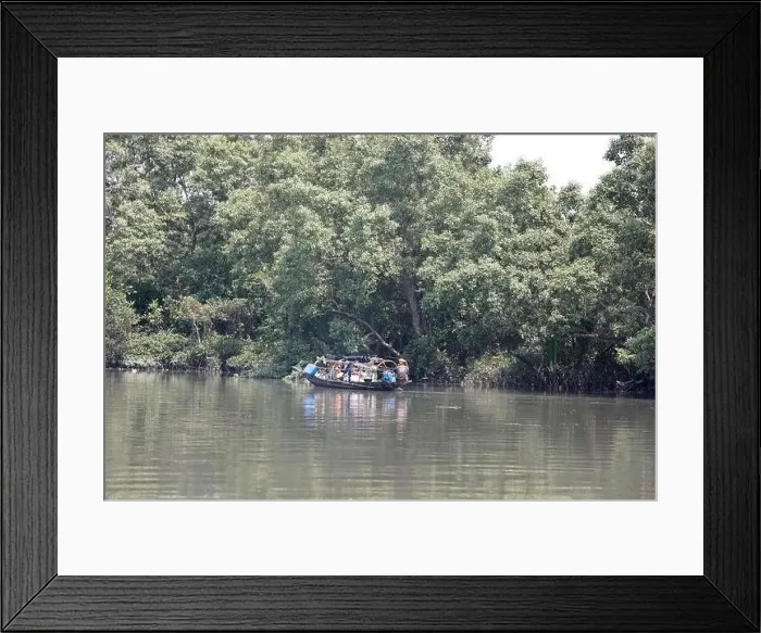 Framed Print : Khulna, Bangladesh - April 13, 2024: The Sundorbons is the largest mangrove forest in the world Framed Print : Khulna, Bangladesh - April 13, 2024: The Sundorbons is the largest mangrove forest in the world