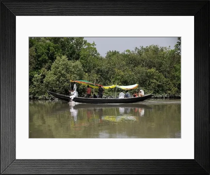 Framed Print : Khulna, Bangladesh - April 13, 2024: The Sundorbons is the largest mangrove forest in the world Framed Print : Khulna, Bangladesh - April 13, 2024: The Sundorbons is the largest mangrove forest in the world