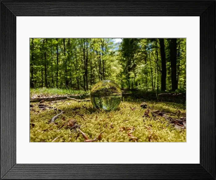 Framed Print : A glass ball rests on the forest floor surrounded by trees Framed Print : A glass ball rests on the forest floor surrounded by trees