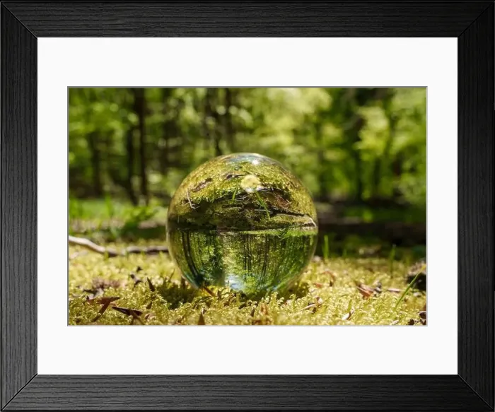 Framed Print : A glass ball rests on the forest floor surrounded by trees Framed Print : A glass ball rests on the forest floor surrounded by trees