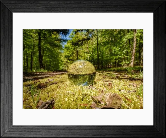 Framed Print : A glass ball rests on the forest floor surrounded by trees Framed Print : A glass ball rests on the forest floor surrounded by trees