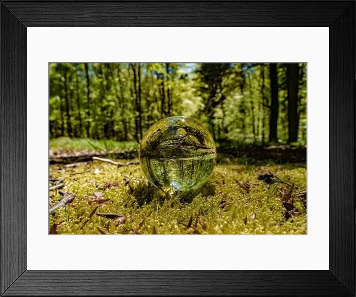 Framed Print : A glass ball rests on the forest floor surrounded by trees Framed Print : A glass ball rests on the forest floor surrounded by trees