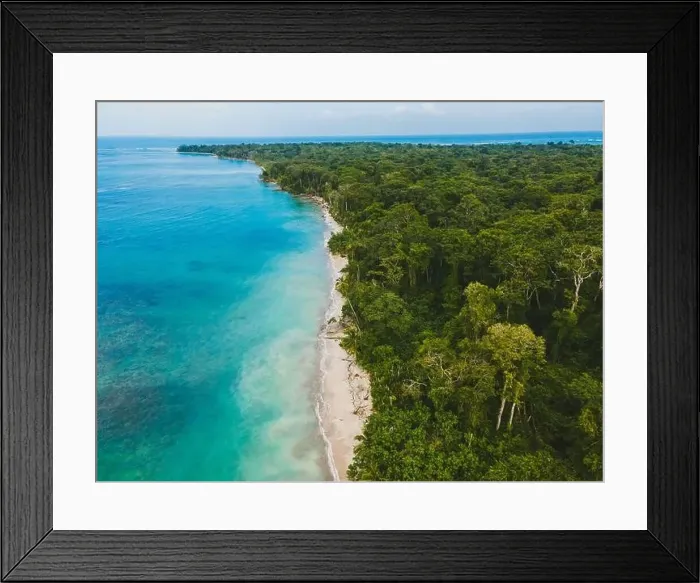 Framed Print : Stunning aerial perspective capturing the lushness of a Costa Rican rainforest seamlessly meeting the tranquil Framed Print : Stunning aerial perspective capturing the lushness of a Costa Rican rainforest seamlessly meeting the tranquil