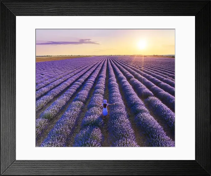 Framed Print : Young girl walking in the lavender field and stunning sunset sky at the background. Brihuega, Spain Framed Print : Young girl walking in the lavender field and stunning sunset sky at the background. Brihuega, Spain