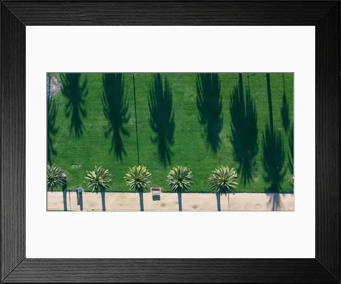 Framed Print : Melbourne Australia. Catani Gardens in St Kilda palm trees casting shadows Framed Print : Melbourne Australia. Catani Gardens in St Kilda palm trees casting shadows