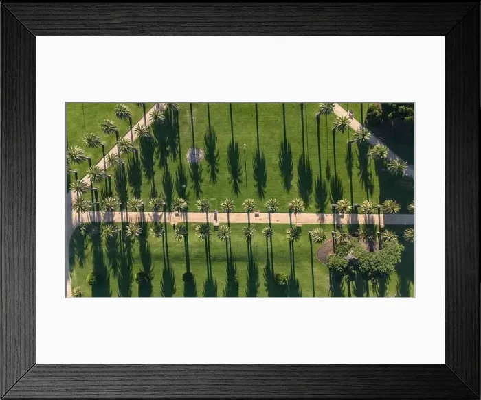 Framed Print : Melbourne Australia. Catani Gardens in St Kilda palm trees casting shadows Framed Print : Melbourne Australia. Catani Gardens in St Kilda palm trees casting shadows
