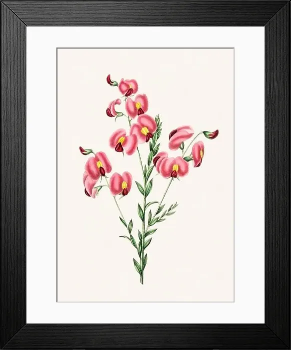 Framed Print : Colorful Flowers: vintage-style flower illustration on a light beige background Framed Print : Colorful Flowers: vintage-style flower illustration on a light beige background