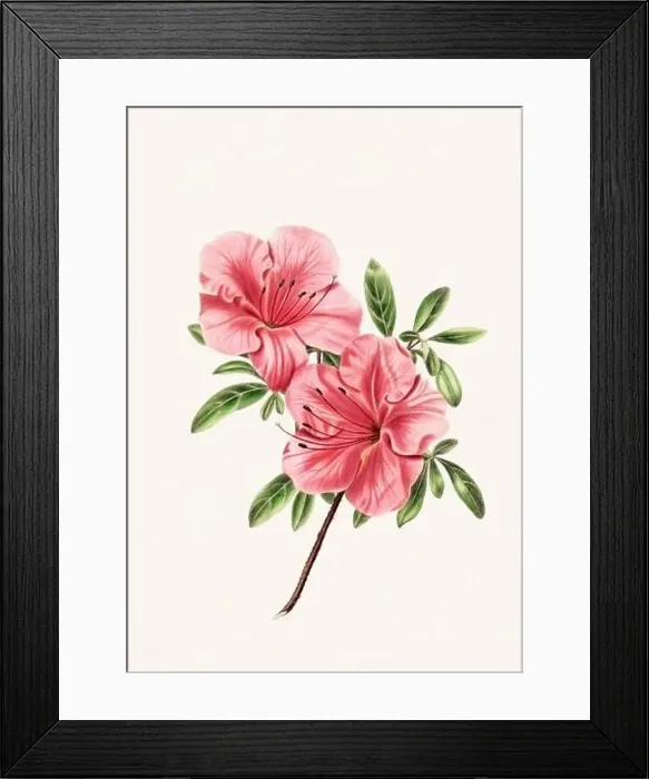 Framed Print : Colorful Flowers: vintage-style flower illustration on a light beige background Framed Print : Colorful Flowers: vintage-style flower illustration on a light beige background